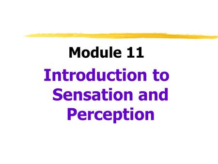 Introduction to Sensation and Perception