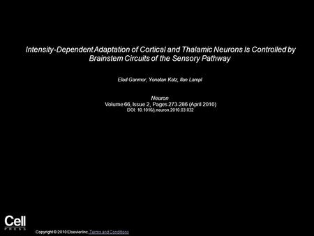 Intensity-Dependent Adaptation of Cortical and Thalamic Neurons Is Controlled by Brainstem Circuits of the Sensory Pathway Elad Ganmor, Yonatan Katz, Ilan.