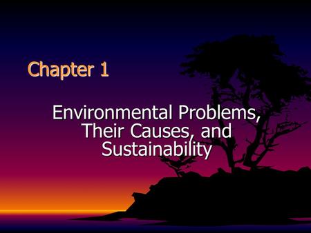 Environmental Problems, Their Causes, and Sustainability