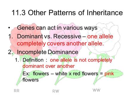 11.3 Other Patterns of Inheritance