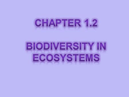 1.Explain various relationships with respect to food chains, food webs, and food pyramids, including: producer consumer (herbivore, carnivore, omnivore)