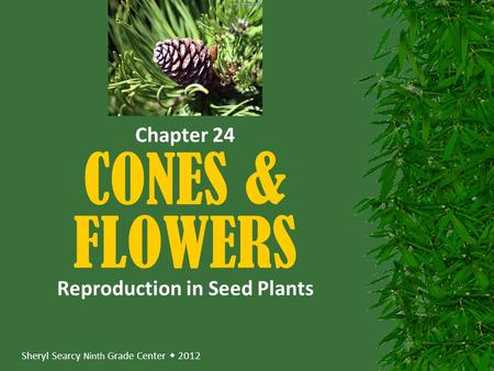 Sheryl Searcy Ninth Grade Center  2012 CONES & FLOWERS Reproduction in Seed Plants Chapter 24.