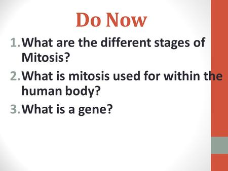 Do Now What are the different stages of Mitosis?