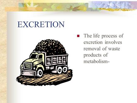 EXCRETION The life process of excretion involves removal of waste products of metabolism-