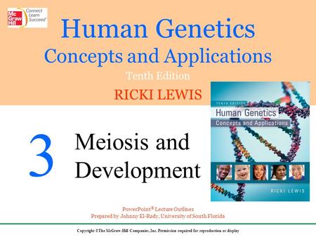 Stages of the Human Life Cycle