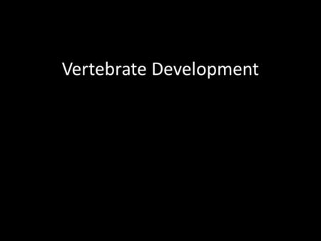 Vertebrate Development. Human Oocyte Fertilization.