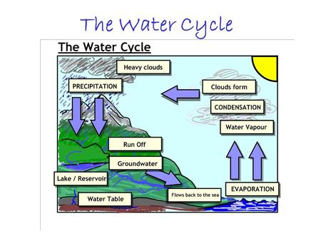 The Water Cycle                                              