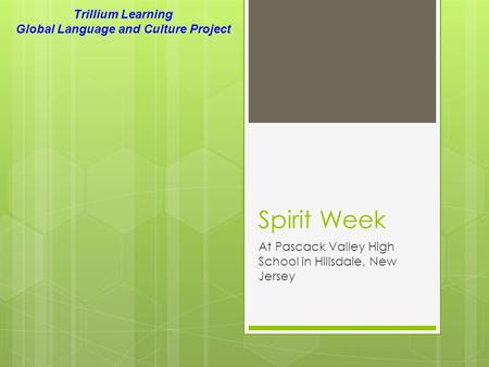 Spirit Week At Pascack Valley High School in Hillsdale, New Jersey Trillium Learning Global Language and Culture Project.