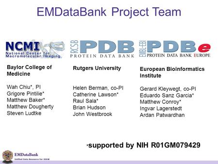 Baylor College of Medicine Wah Chiu*, PI Grigore Pintilie* Matthew Baker* Matthew Dougherty Steven Ludtke Rutgers University Helen Berman, co-PI Catherine.