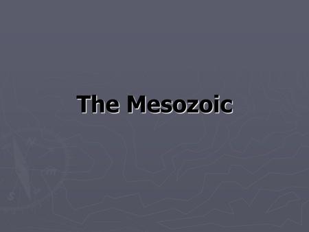 The Mesozoic. Periods of the Mesozoic ► Triassic ► Jurassic ► Cretaceous.