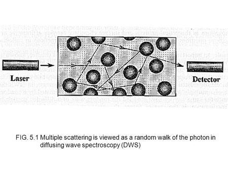 FIG. 5.1 Multiple scattering is viewed as a random walk of the photon in diffusing wave spectroscopy (DWS)