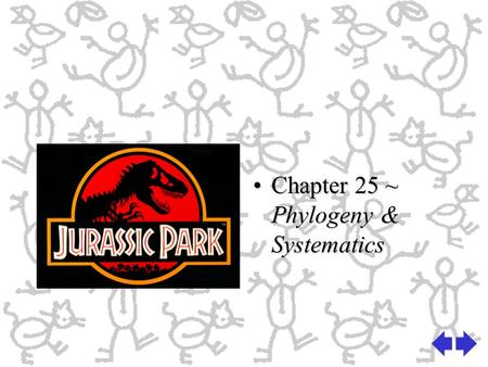 Chapter 25 ~ Phylogeny & Systematics. Phylogeny: the evolutionary history of a species Used to organize species by examing ancestors and descendantsUsed.