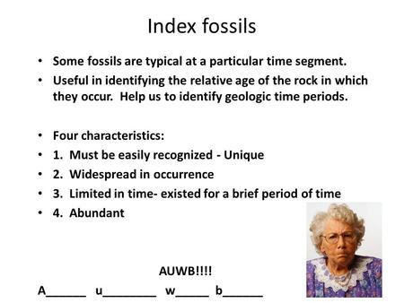 Index fossils Some fossils are typical at a particular time segment. Useful in identifying the relative age of the rock in which they occur. Help us to.