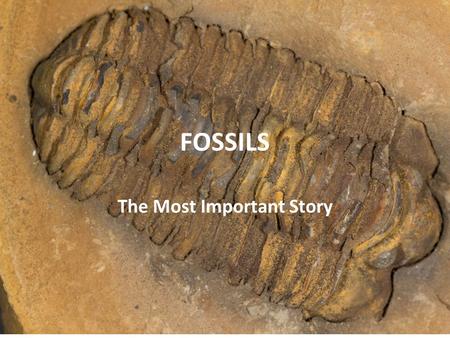 FOSSILS The Most Important Story. TRILOBITES (CAMBRIAN – PERMIAN 541 – 252 MILLION YEARS AGO)