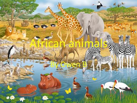 African animals By Owen B. Cheetah There is not an faster animal than a cheetah. The cheetah can run up to 110 kilometres per hour. The cheetah likes.