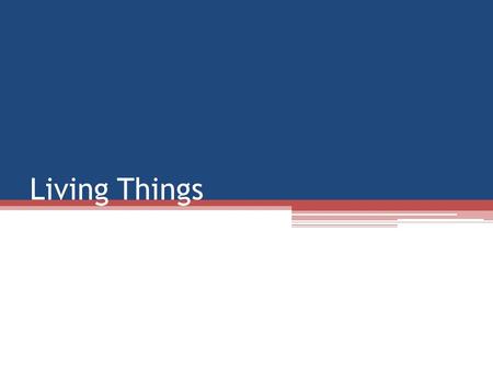 Living Things. Vocabulary 1.Cell 2.Homeostasis 3.Organism.