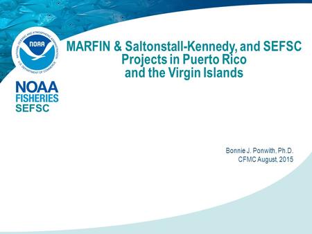 MARFIN & Saltonstall-Kennedy, and SEFSC Projects in Puerto Rico and the Virgin Islands SEFSC Bonnie J. Ponwith, Ph.D. CFMC August, 2015.