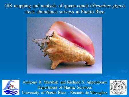 GIS mapping and analysis of queen conch (Strombus gigas) stock abundance surveys in Puerto Rico Anthony R. Marshak and Richard S. Appeldoorn Department.