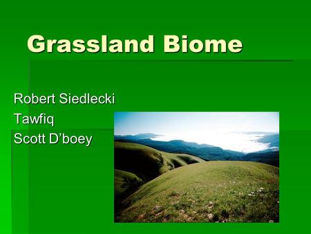 Grassland Biome Robert Siedlecki Tawfiq Scott D’boey.