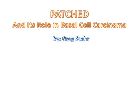 Patched is a 12 pass transmembrane receptor: Patched is the receptor for the key signaling protein Hedgehog.