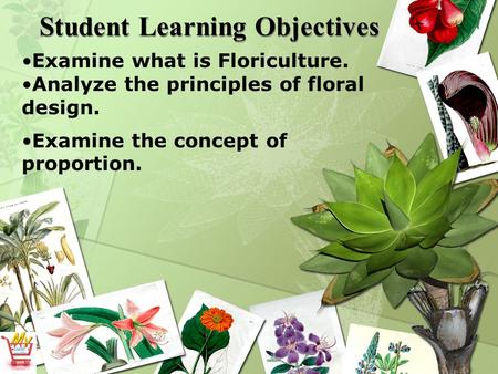 Student Learning Objectives