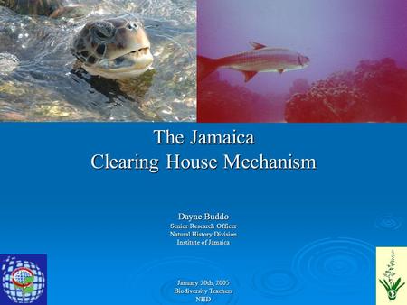 The Jamaica Clearing House Mechanism Dayne Buddo Senior Research Officer Natural History Division Institute of Jamaica January 20th, 2005 Biodiversity.