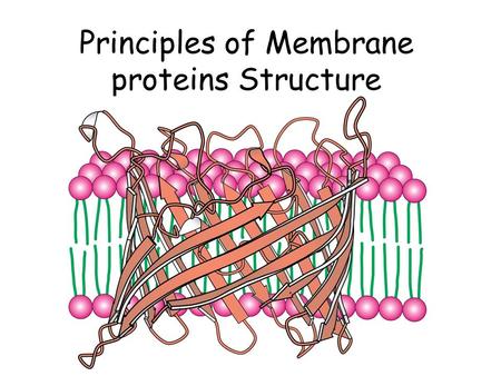 Principles of Membrane proteins Structure. Summary of Biological Membranes Highly selective permeability barriers Amphiphilic organization Fluid Mosaic.