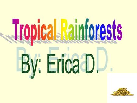 Tropical Rainforests By: Erica D..