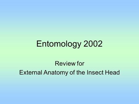 Review for External Anatomy of the Insect Head