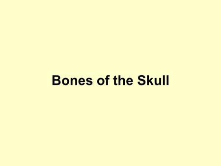 Bones of the Skull.