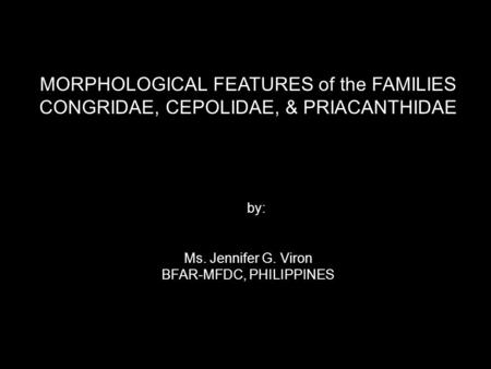 MORPHOLOGICAL FEATURES of the FAMILIES