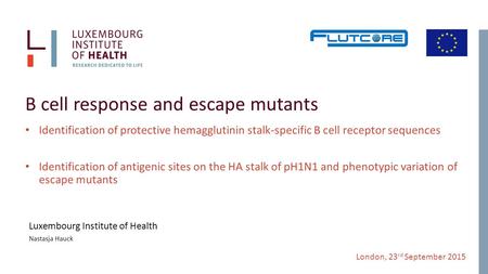 London, 23 rd September 2015 B cell response and escape mutants Identification of protective hemagglutinin stalk-specific B cell receptor sequences Identification.