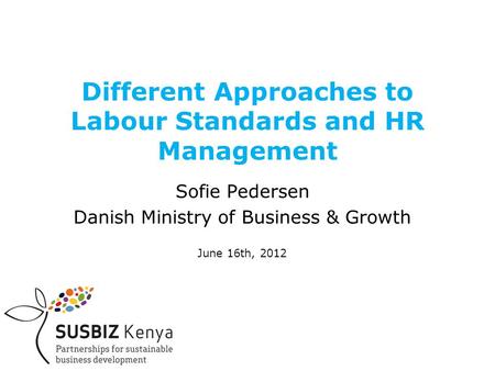 Different Approaches to Labour Standards and HR Management Sofie Pedersen Danish Ministry of Business & Growth June 16th, 2012.