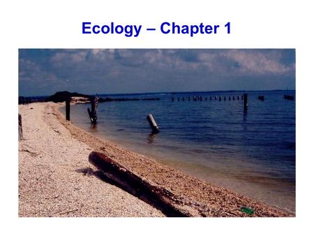 Ecology – Chapter 1.