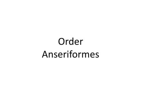 Order Anseriformes. Canada Goose Wood Duck Mallard.