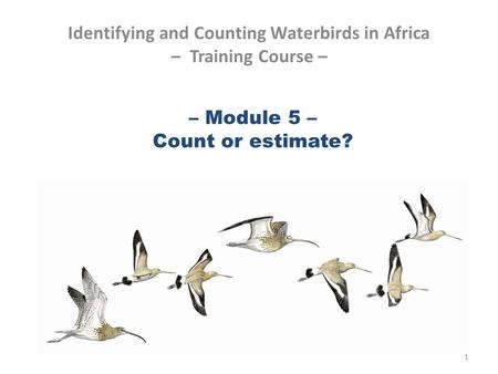 – Module 5 – Count or estimate? Identifying and Counting Waterbirds in Africa – Training Course – 1.