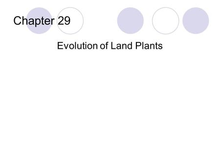 Chapter 29 Evolution of Land Plants. Overview Plants can be described as multicellular, eukaryotic, photosynthetic autotrophs Four main groups:  Bryophytes.