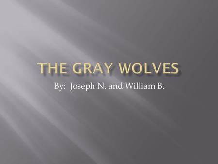 By: Joseph N. and William B.  We would like to tell you about the gray wolves. They are starting to become extinct because of human hunters. When they.