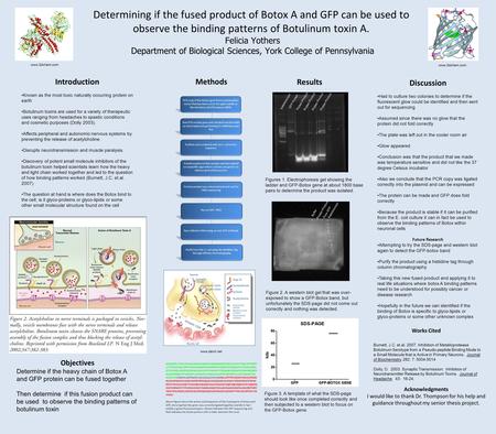 Determining if the fused product of Botox A and GFP can be used to observe the binding patterns of Botulinum toxin A. Felicia Yothers Department of Biological.