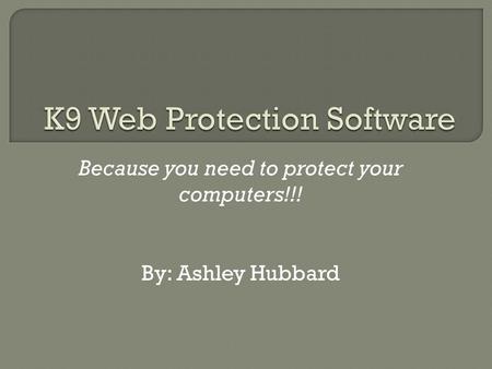 Because you need to protect your computers!!! By: Ashley Hubbard.