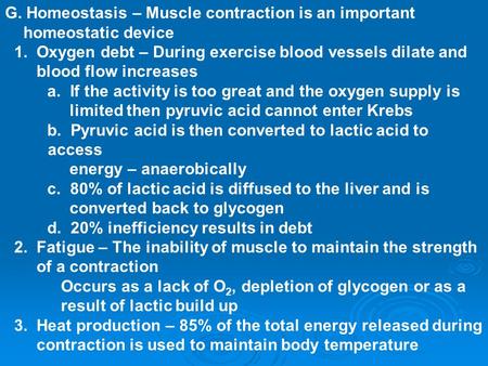 G. Homeostasis – Muscle contraction is an important homeostatic device 1. Oxygen debt – During exercise blood vessels dilate and blood flow increases a.