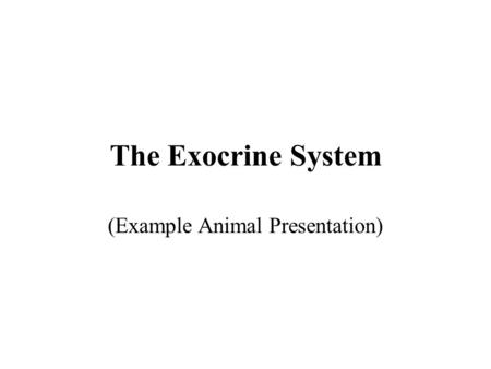 The Exocrine System (Example Animal Presentation).