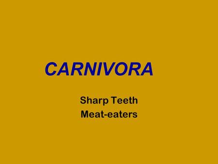 CARNIVORA Sharp Teeth Meat-eaters. SEA OTTER Smallest marine mammal, in weasel family Thick, luxurious fur – hunted for fur Diet: molluscs, sea urchins.