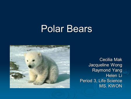 Polar Bears Cecilia Mak Jacqueline Wong Raymond Yang Helen Li Period 3, Life Science MS. KWON.