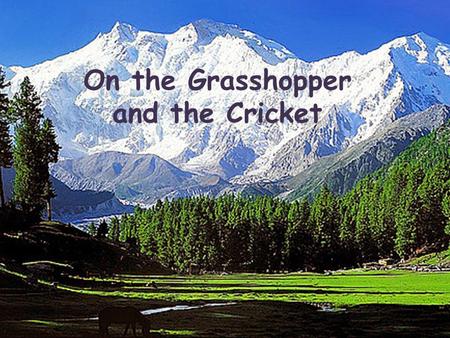 On the Grasshopper and the Cricket