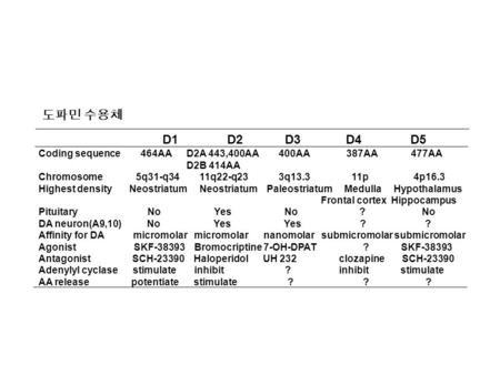 D1 D2 D3 D4 D5 Coding sequence 464AA D2A 443,400AA 400AA 387AA 477AA D2B 414AA Chromosome 5q31-q34 11q22-q23 3q13.3 11p 4p16.3 Highest density Neostriatum.