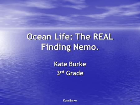 Ocean Life: The REAL Finding Nemo.