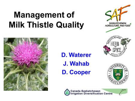 Management of Milk Thistle Quality D. Waterer J. Wahab D. Cooper.