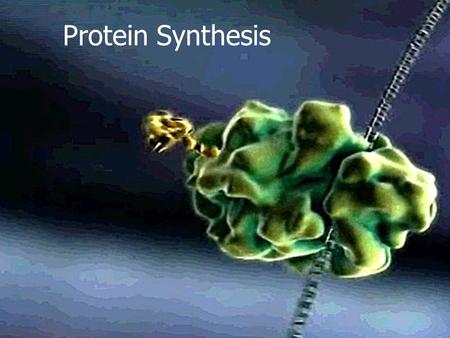 Protein Synthesis. Review Purpose of DNA Replication Copy DNA exactly to put into a new cell.