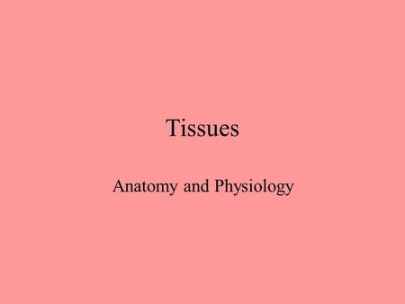 Tissues Anatomy and Physiology Four tissue types Epithelium Connective Muscle Nervous.